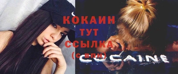 спиды Абаза